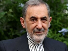 Velayati: مردم ایران مجاز به مقابله با امنیت ملی خود نیستند