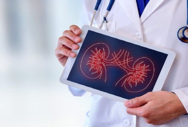 نارسایی کلیه ؛ از ژنتیکی تا سبک زندگی