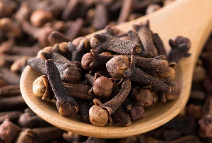 فواید خوردن میخک چیست؟
