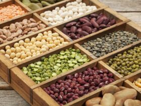 آیا برای سالمندان مضر است؟