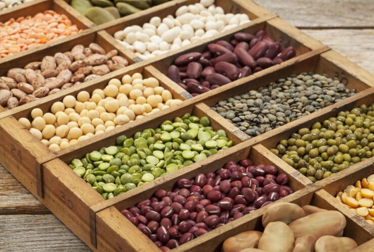 آیا برای سالمندان مضر است؟