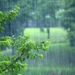 باران های تابستانی منتظر برخی از استان های کشور است