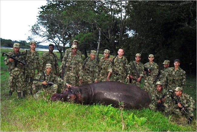10HIPPO2_650