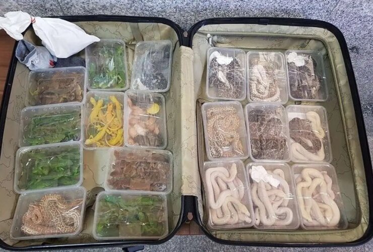 کشف امام خمینی از یک محموله بزرگ قاچاق در فرودگاه