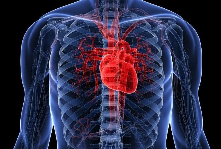 علائم اولیه بیماری عروق کرونر قلب چیست؟