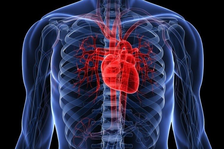 علائم اولیه بیماری عروق کرونر قلب چیست؟