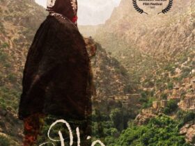جشنواره فیلم ونکوور کرد