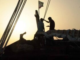 صفحه شما که می خواستید پیدا نشد.
