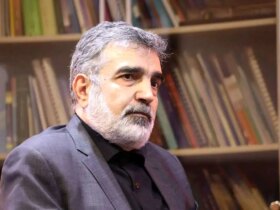 کنترل آژانس بین المللی انرژی هسته ای در تغییر/ همکاری سوخت بوشر در چارچوب قانون مجلس