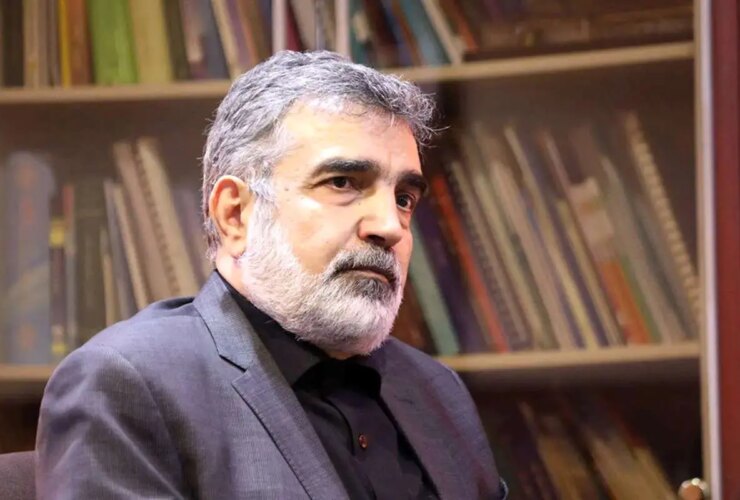 کنترل آژانس بین المللی انرژی هسته ای در تغییر/ همکاری سوخت بوشر در چارچوب قانون مجلس