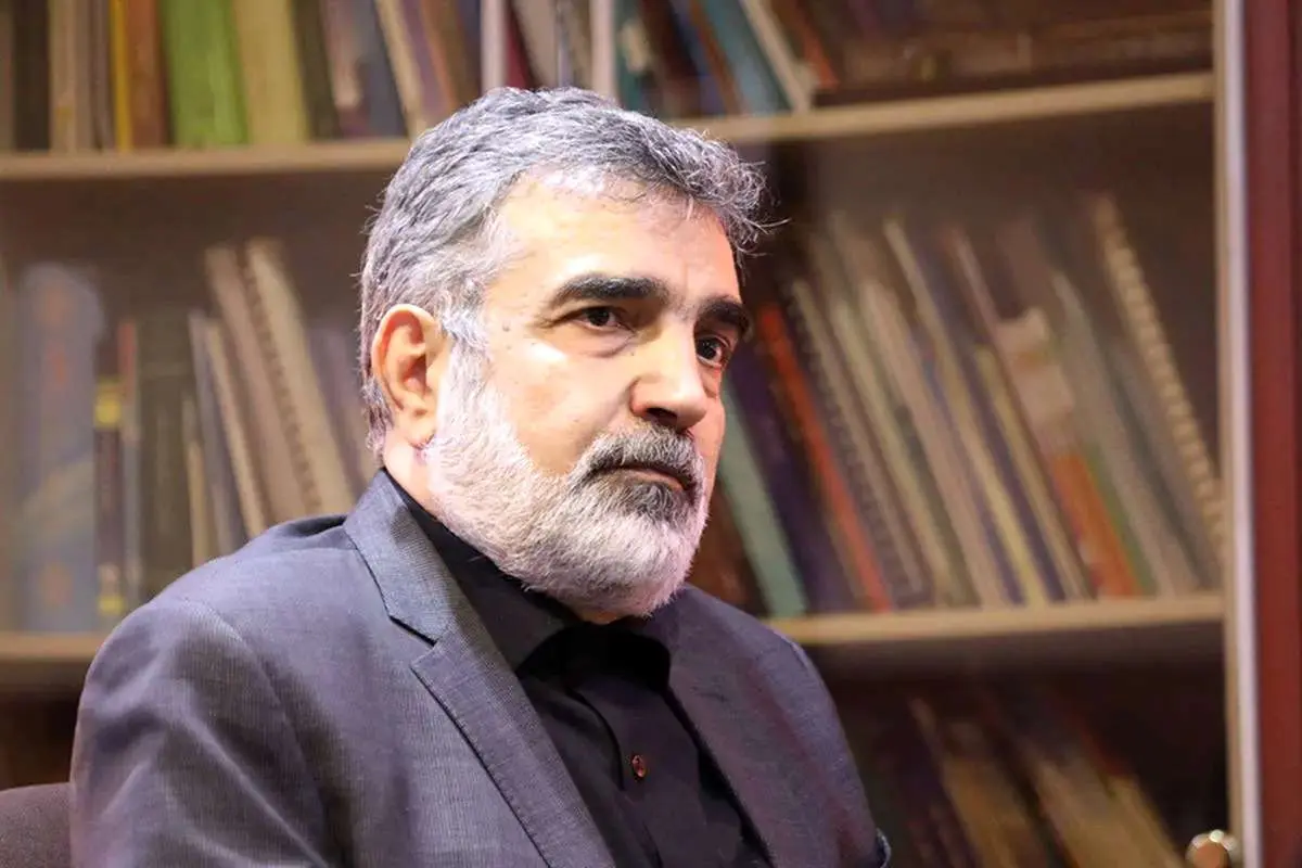 کنترل آژانس بین المللی انرژی هسته ای در تغییر/ همکاری سوخت بوشر در چارچوب قانون مجلس