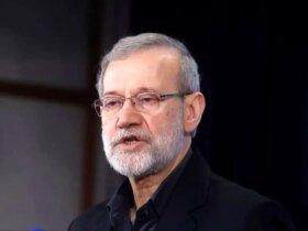 هشدار لارژانی در مورد اختلافات ملی/ تفاوت های تأکید یک اشتباه استراتژیک است.