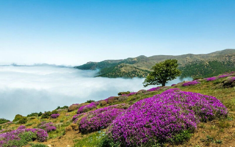 گنجینه های تابستانی به گنجینه های دست نخورده ایران/ 2 رویای معرفی نقطه ورود