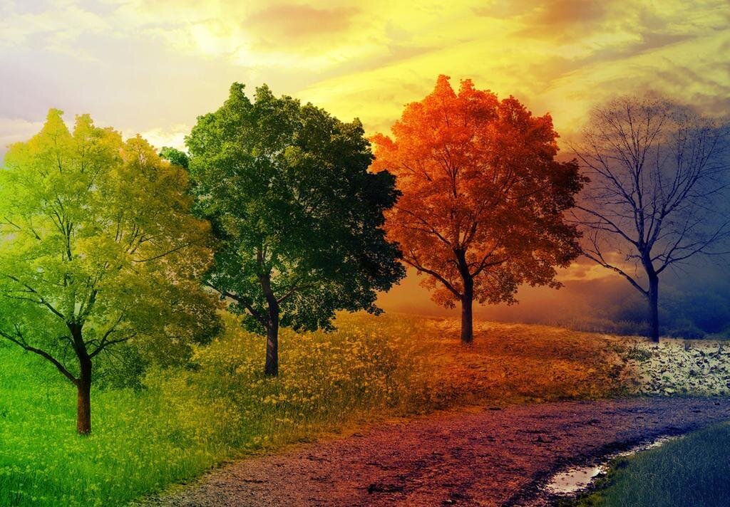 نسخه طبیعت برای انتخاب یک تجارت و آموزش در دنیای سریع امروز