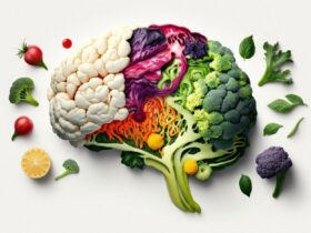 برای تقویت مغز با مواد مغذی مفید ملاقات کنید