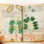 2 -راز سال ؛ کتابی که با کلمات بیگانه نوشته شده است