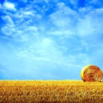 Tabal ، Hafiz در جمعه 17 اوت ؛ به زندگی یونچ و پیمان قدیمی و واقعی .....