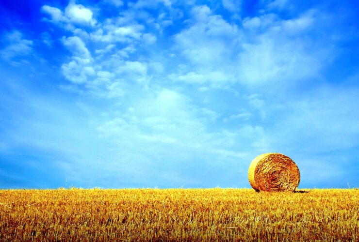 Tabal ، Hafiz در جمعه 17 اوت ؛ به زندگی یونچ و پیمان قدیمی و واقعی .....