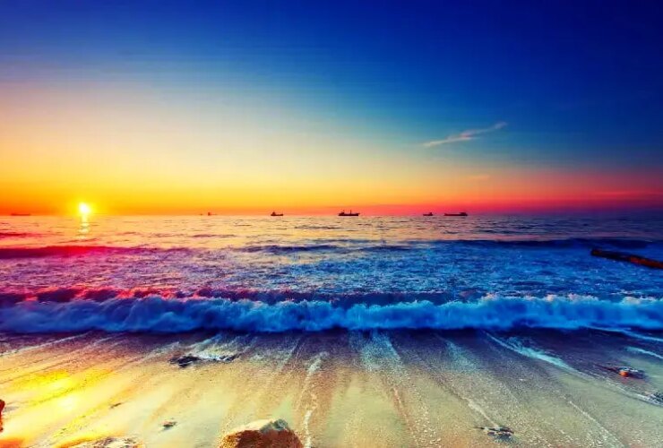 Tabal ، دوشنبه ، 20 اوت ؛ شما کسی را ندیده اید و یک رقیب وجود دارد ... 30 Tabal ، دوشنبه ، 20 اوت ؛ شما کسی را ندیده اید و یک رقیب وجود دارد ...