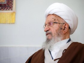 ayatollah makaremshirazi در arbaeen پیاده روی