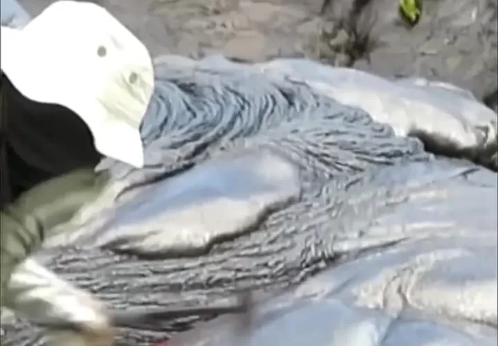 آتش نشان چقدر داغ است؟ 19 آتش نشان چقدر داغ است؟