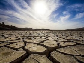 آیا شاهد مرگ صنایع با خشکسالی و تشنگی خواهیم بود؟