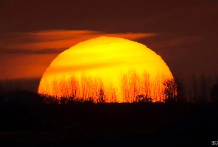 از Tabali تا Hafiz یکشنبه ، 19 اوت ؛