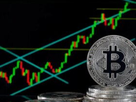 اسب های بیت کوین ؛ پاول موشک BTC را باز کرد