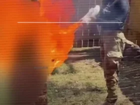 برای دیدن آتش نشان قرآن توسط نامزد کنگره جمهوریخواه