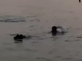 برای دیدن برای نجات شخصی که توسط سوفیا در کیش غرق شده است