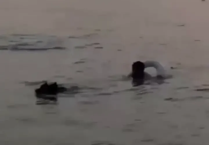 برای دیدن برای نجات شخصی که توسط سوفیا در کیش غرق شده است