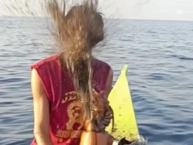 برای دیدن ماهی غول پیکر با ماهیگیر جوهر در ماهی مرکب پاشیده شد