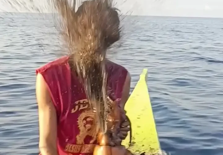 برای دیدن ماهی غول پیکر با ماهیگیر جوهر در ماهی مرکب پاشیده شد