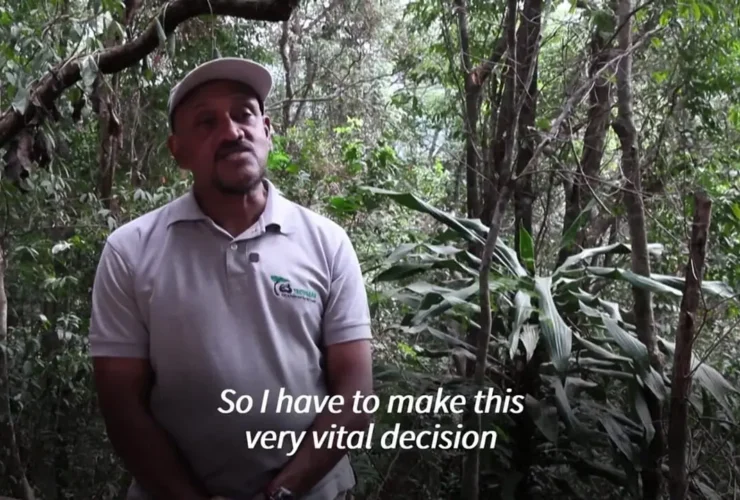 برای دیدن مردی که زندگی خود را به شامپانزه ها اختصاص می دهد