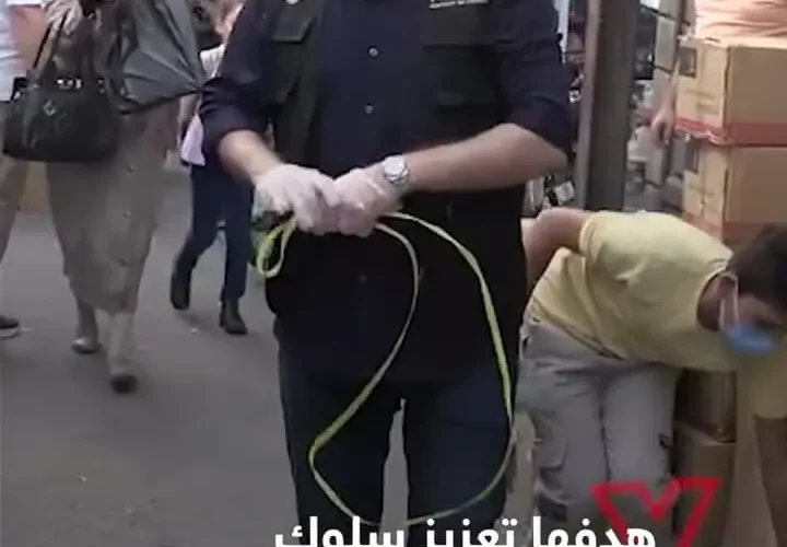 برای دیدن مشارکت وزیر فرهنگ سوریه در تمیز کردن خیابان های دمشق 9 برای دیدن مشارکت وزیر فرهنگ سوریه در تمیز کردن خیابان های دمشق