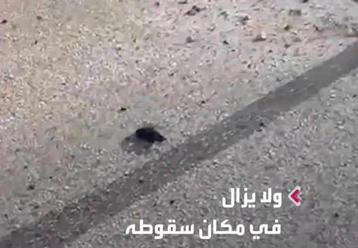 برای دیدن موشک های مفقود شده جنوبی لبنان در لبنان منفجر نشد