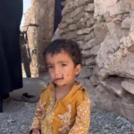 برای دیدن وقتی سهم کودک از زندگی یک جریان پرواز است