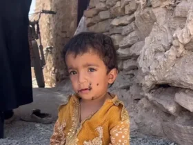 برای دیدن وقتی سهم کودک از زندگی یک جریان پرواز است