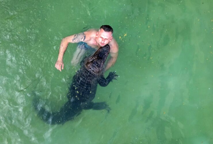 تصاویر با تمساحهای خانگی در استخر خانوادگی شنا کنید!