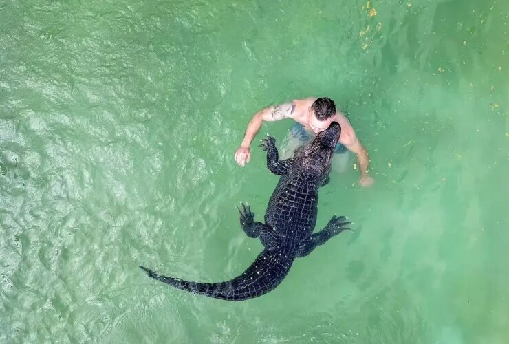 تصویر تکان دهنده ؛ درباره عکسی از شنا آقای کریستین کاولیس