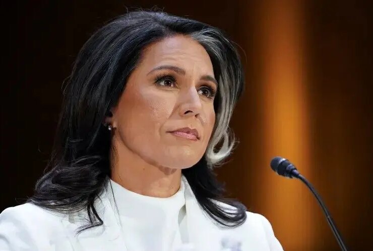 توللی قوبورد: دولت مخفی خانه ای در سازمان های اطلاعاتی ایالات متحده دارد