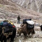 در پشت توسعه راهرو واخان / آیا پکن آماده برای مواجهه با تروریست ها است؟