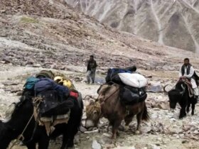 در پشت توسعه راهرو واخان / آیا پکن آماده برای مواجهه با تروریست ها است؟
