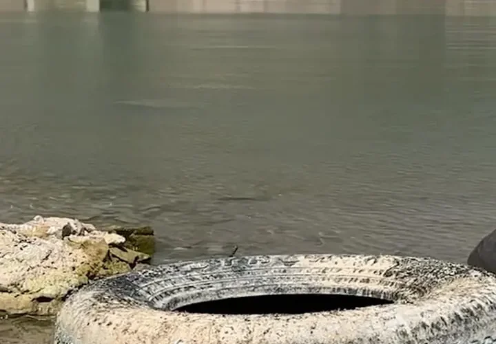 دریاچه آب تشنه ؛ خشکسالی به لبنان رسید