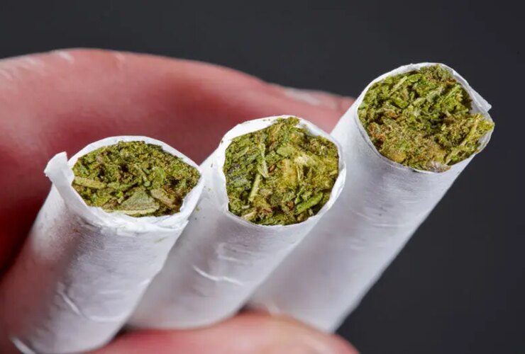 دلایل مصرف نوجوانان "گل" چیست؟ نتایج یک تحقیق در زمینه جدید 14 دلایل مصرف نوجوانان "گل" چیست؟ نتایج یک تحقیق در زمینه جدید