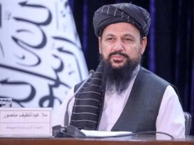 طالبان از پاکستان انتقاد می کند: اسلام آباد نمی خواهد که افغانستان ثبات را ببیند
