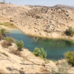 عجله فراتر از حقوق مجاز نوعی سرقت است