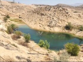 عجله فراتر از حقوق مجاز نوعی سرقت است
