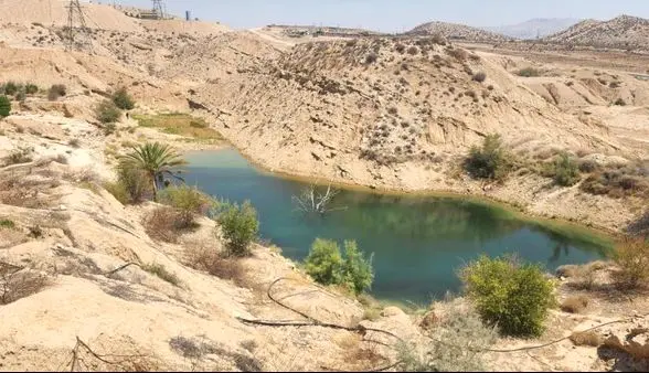 عجله فراتر از حقوق مجاز نوعی سرقت است