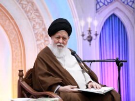 علم الحادی: آنها می خواهند مشهاد را به یک مرکز تفریحی و پول تبدیل کنند ، این خلاف عزت امام رضا است